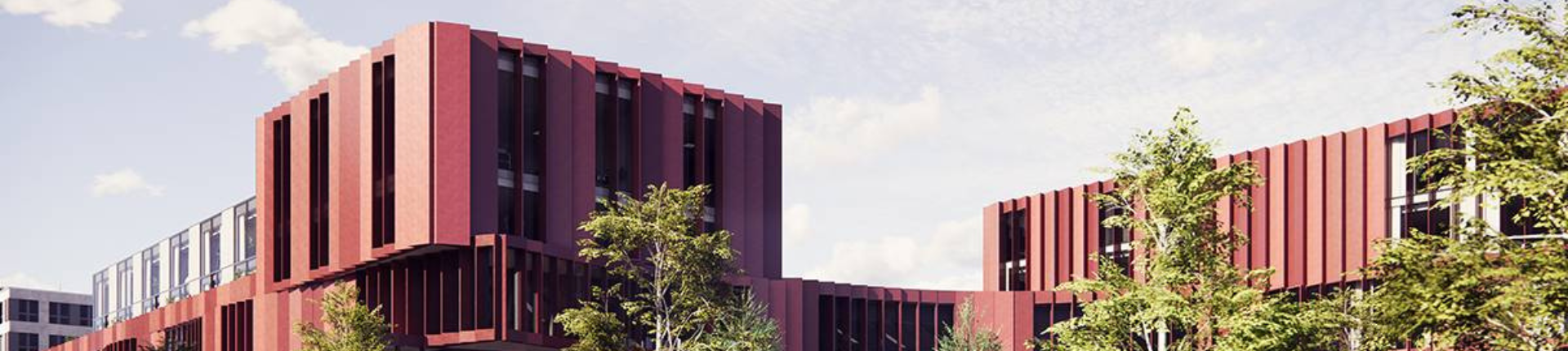 Chaos Enscape 4.0 : les nouveautés